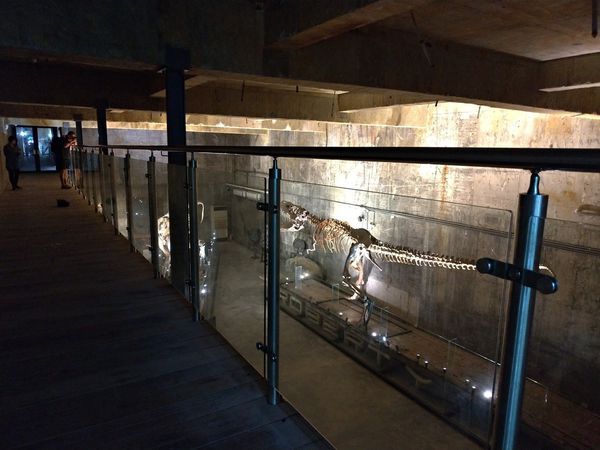 P_20190104_120457-2016x1512.jpg P_20190104_120457-2016x1512.jpg