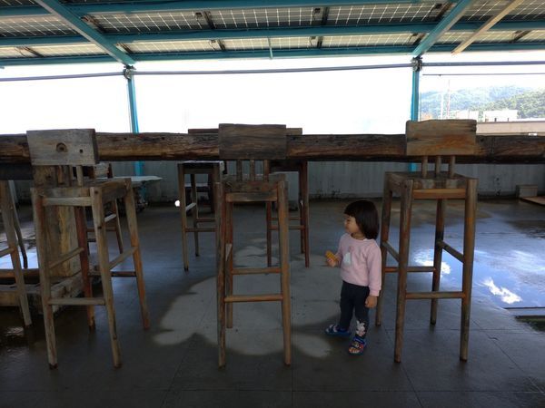 P_20190104_123205-2016x1512.jpg P_20190104_123205-2016x1512.jpg