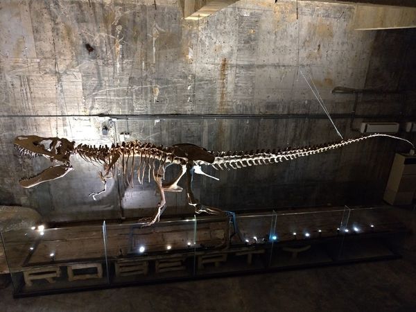 P_20190104_120618-2016x1512.jpg P_20190104_120618-2016x1512.jpg