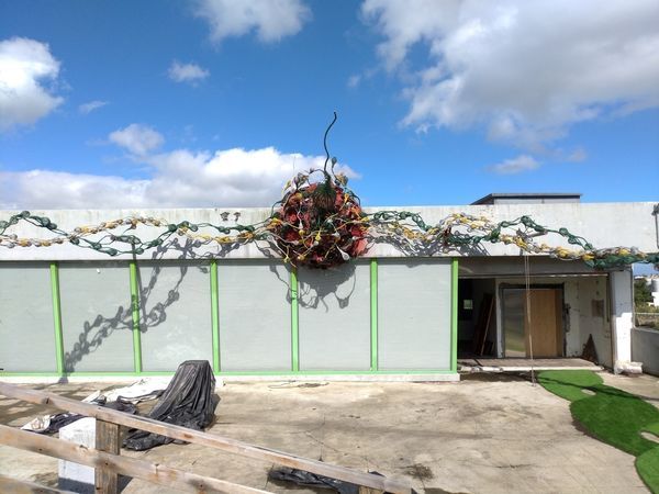 P_20190104_122932-2016x1512.jpg P_20190104_122932-2016x1512.jpg