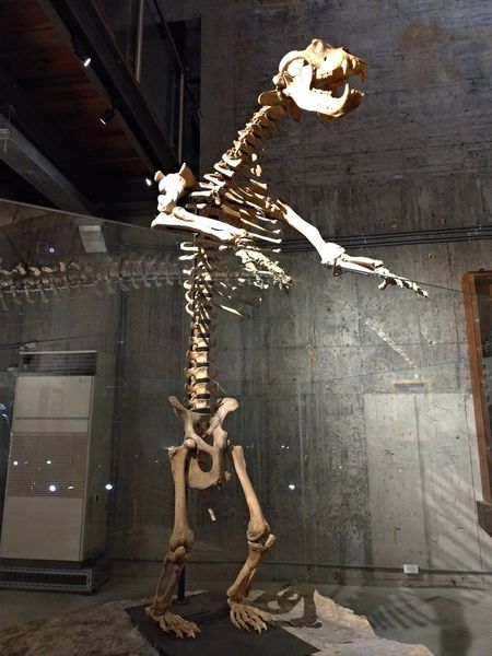 P_20190104_113621-1512x2016.jpg P_20190104_113621-1512x2016.jpg