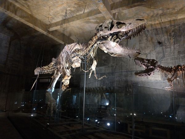 P_20190104_112816-2016x1512.jpg P_20190104_112816-2016x1512.jpg