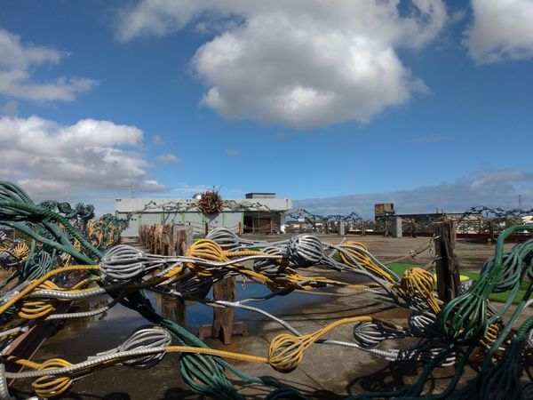 P_20190104_123125-2016x1512.jpg P_20190104_123125-2016x1512.jpg