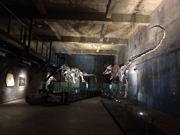 P_20190104_113905-2016x1512.jpg P_20190104_113905-2016x1512.jpg