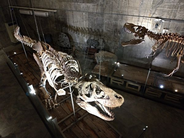 P_20190104_120642-2016x1512.jpg P_20190104_120642-2016x1512.jpg