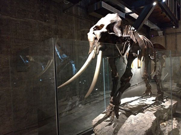 P_20190104_114222-2016x1512.jpg P_20190104_114222-2016x1512.jpg