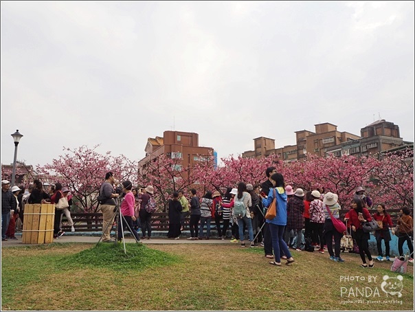 東湖樂活公園 (19)