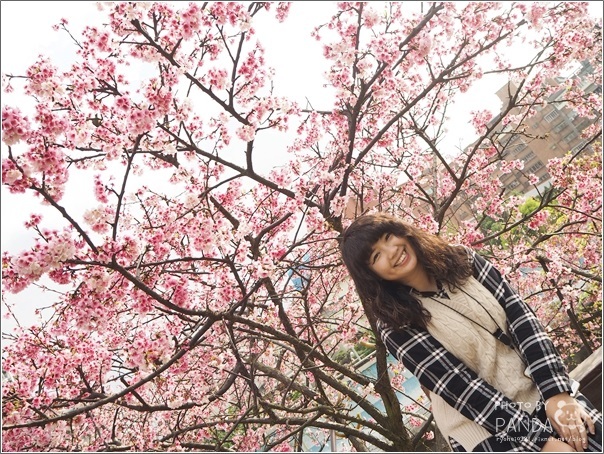 東湖樂活公園 (9)