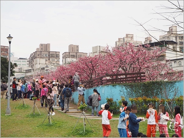 東湖樂活公園 (24)