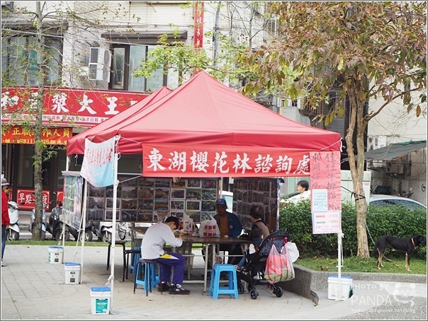 東湖樂活公園 (20)