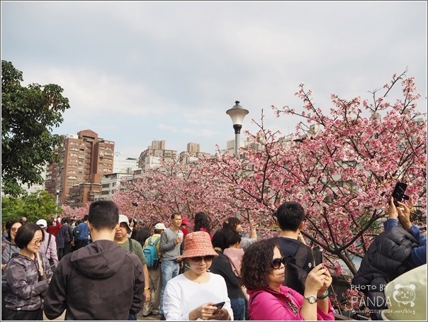 東湖樂活公園 (7)