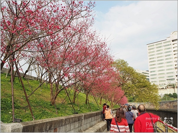 東湖樂活公園 (12)