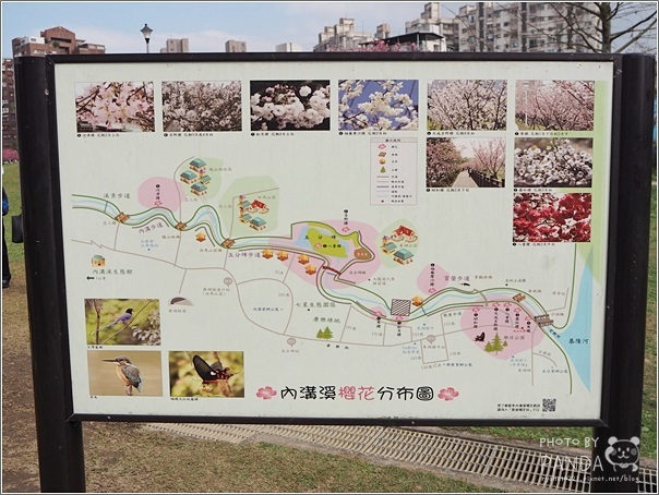 東湖樂活公園 (2)