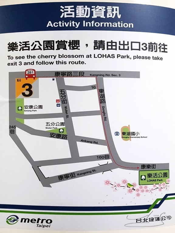 東湖樂活公園夜櫻 (2).jpg