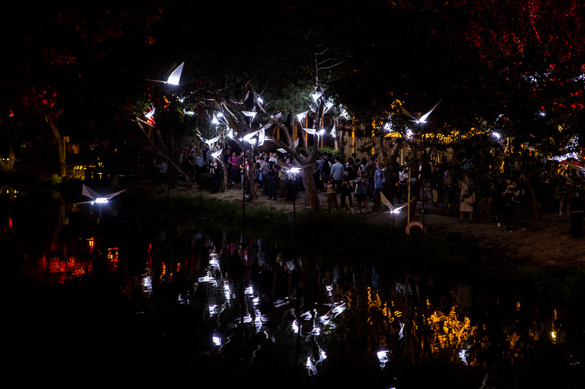 IMG_9901.jpg IMG_9901.jpg