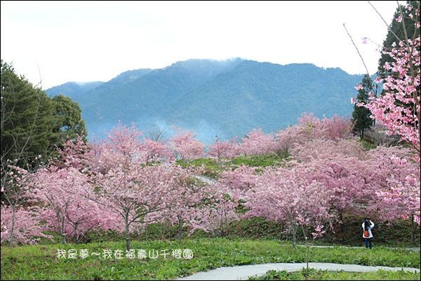 福壽山千櫻園10.jpg
