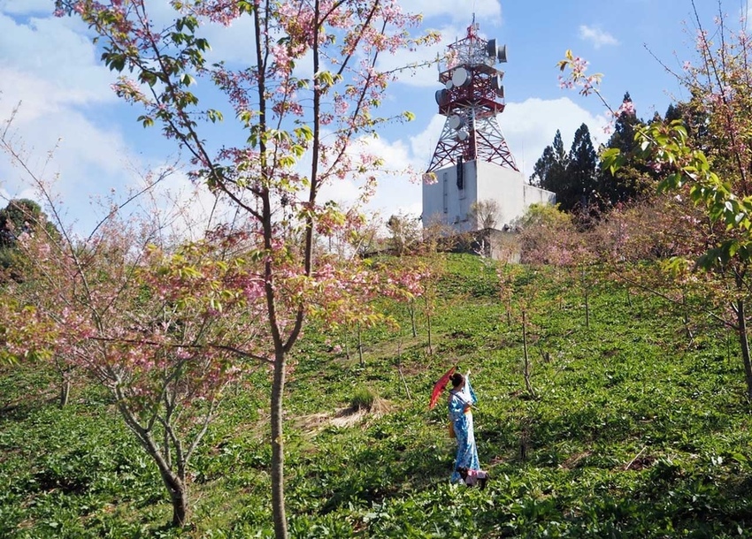 千櫻園福壽山櫻花季和服浴衣14.jpg