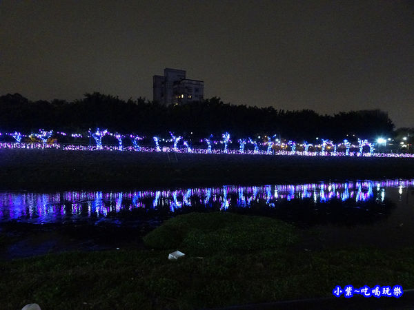 2019桃園燈會-龜山燈區 (9).jpg