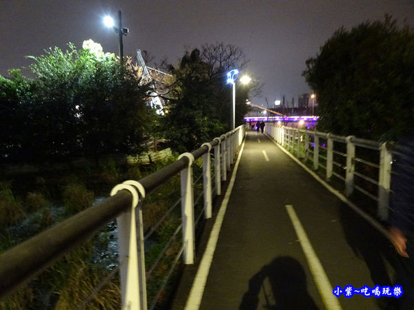 2019桃園燈會-水汴頭燈區 (11).jpg