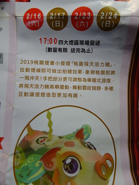 假日發放-2019桃園飛天活力豬提燈.JPG