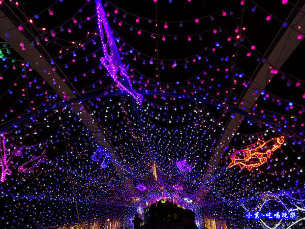 魚兒魚兒水中游-2019桃園燈會水汴頭燈區 (1).jpg