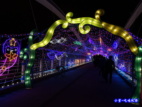 魚兒魚兒水中游-2019桃園燈會水汴頭燈區 (3).jpg