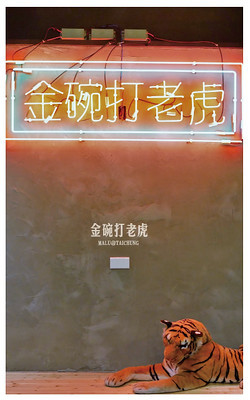 金碗打老虎-14