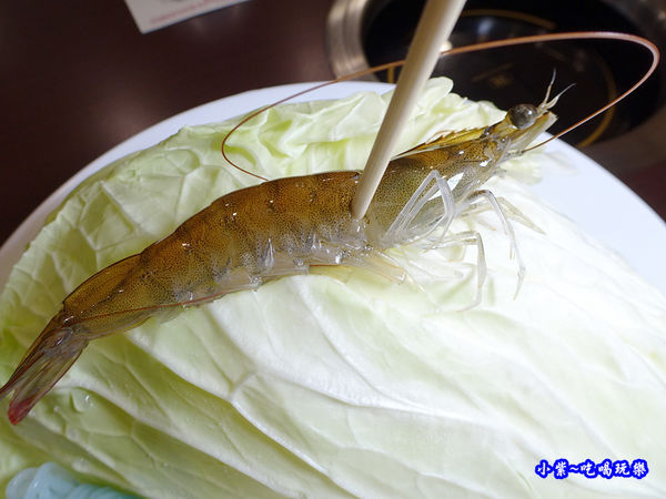 活蝦-八方悅鍋物新莊四維店 (3).jpg