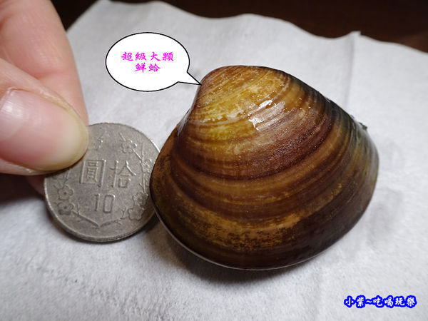 蛤蜊-八方悅鍋物新莊四維店 (3).jpg