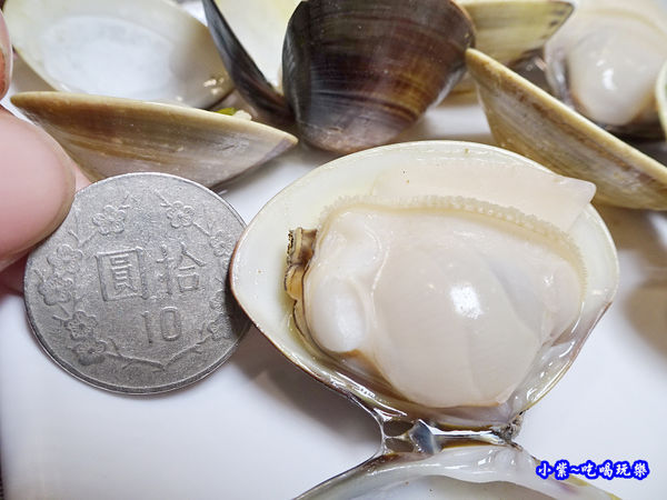 蛤蜊-八方悅鍋物新莊四維店 (1).jpg