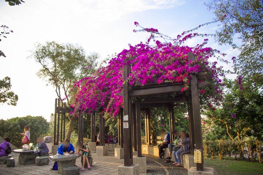 【玩樂.台中】太平景點/921震災紀念公園~台中最長的磨石子溜滑梯在這裡,挑戰速度與刺激感,遛小孩熱門景點
