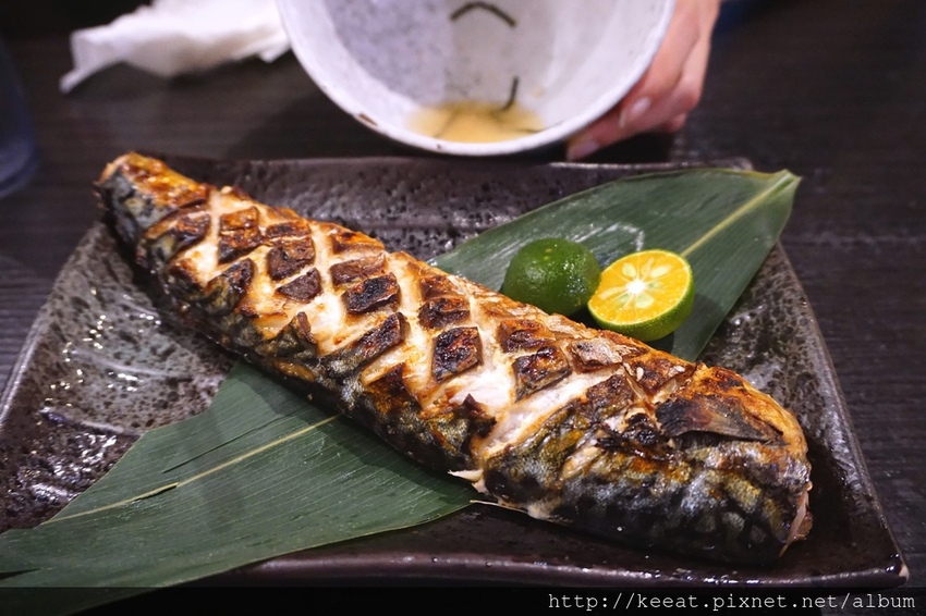 挪威鯖魚 挪威鯖魚