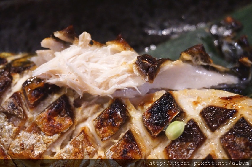 挪威鯖魚 挪威鯖魚