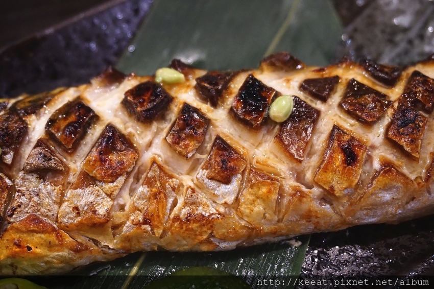 挪威鯖魚 挪威鯖魚