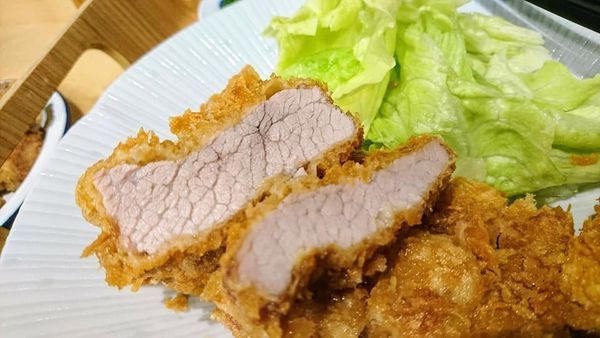 51795647_2271742616190748_4774184714502144000_n