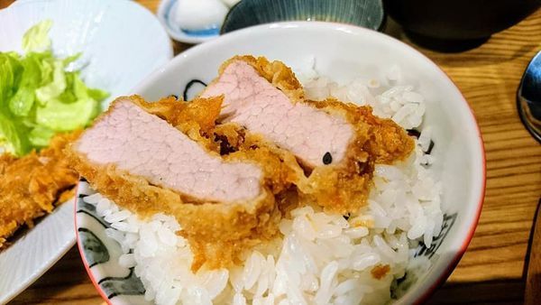 52338484_2271742702857406_3329029962878418944_n