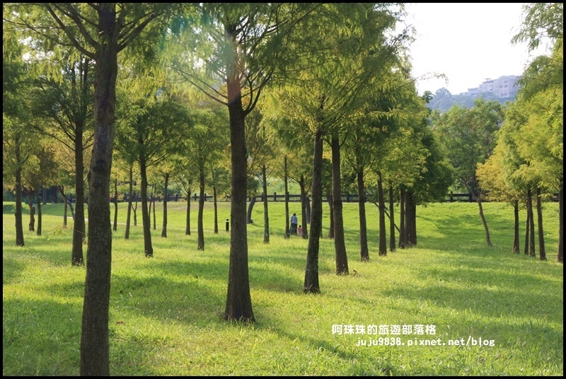 大溪河濱公園16.JPG