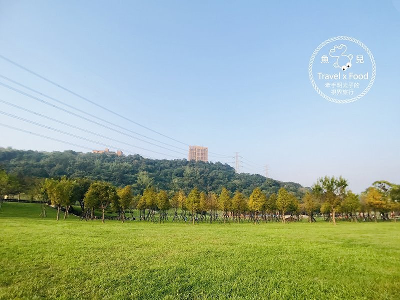 【遊】大溪河濱公園｜綠地、生態濕地與休閒 @魚兒 x 牽手明太子的「視」界旅行