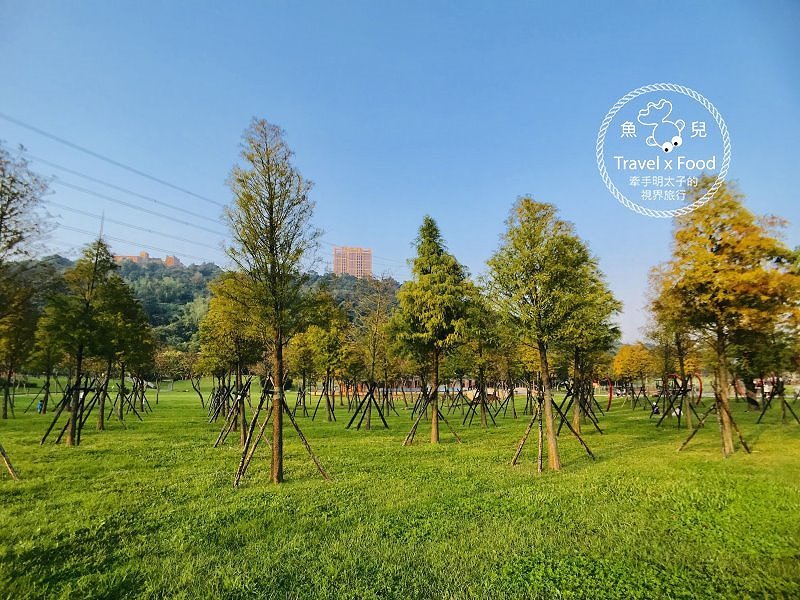 【遊】大溪河濱公園｜綠地、生態濕地與休閒 @魚兒 x 牽手明太子的「視」界旅行