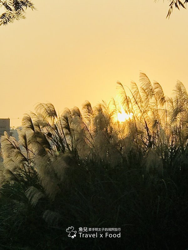 【遊】大溪河濱公園｜綠地、生態濕地與休閒 @魚兒 x 牽手明太子的「視」界旅行