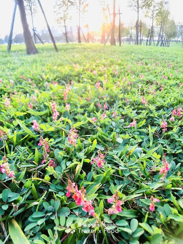 【遊】大溪河濱公園｜綠地、生態濕地與休閒 @魚兒 x 牽手明太子的「視」界旅行