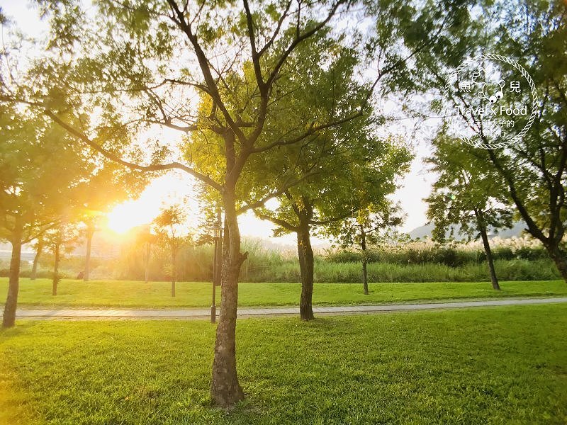 【遊】大溪河濱公園｜綠地、生態濕地與休閒 @魚兒 x 牽手明太子的「視」界旅行
