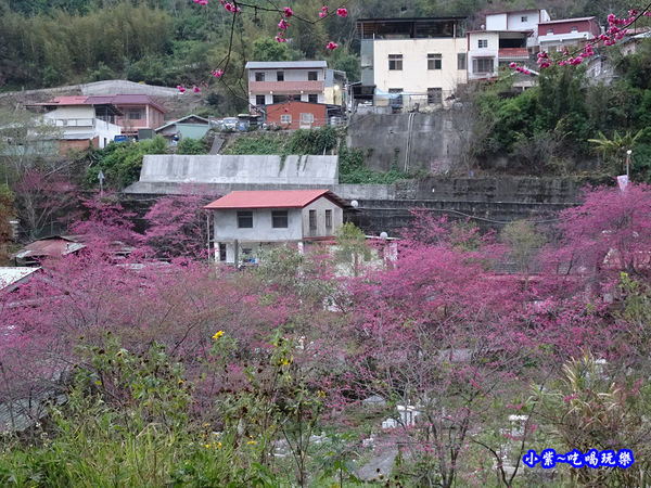 春陽部落-天主教示範公墓 (1).jpg