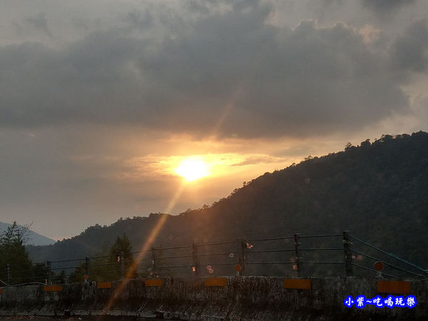 南投仁愛春陽部落83K櫻花大道 (6).jpg