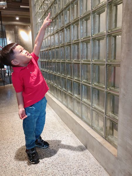 20190421_125259-3739463.jpeg 20190421_125259-3739463.jpeg