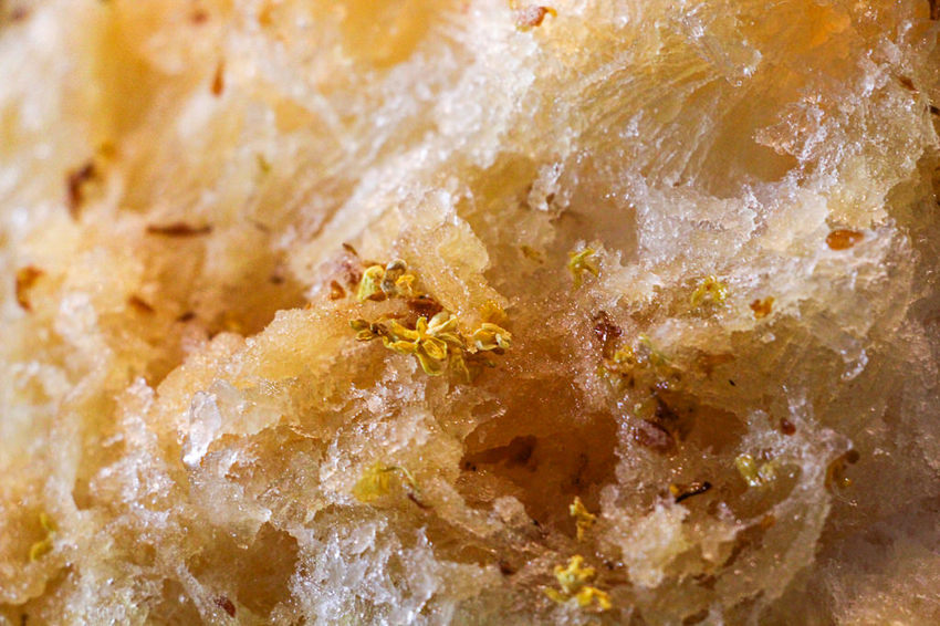 台中西區,熱鬧的市場內也能有遠離塵囂讓人靜心的好去處,幸卉文學咖啡 nice to meet you! - 微笑Joe幸運