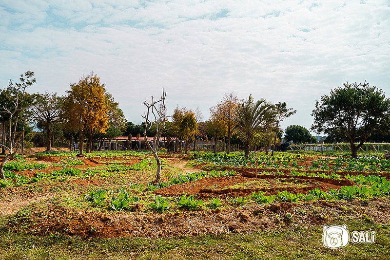 自然圈lofi land-39