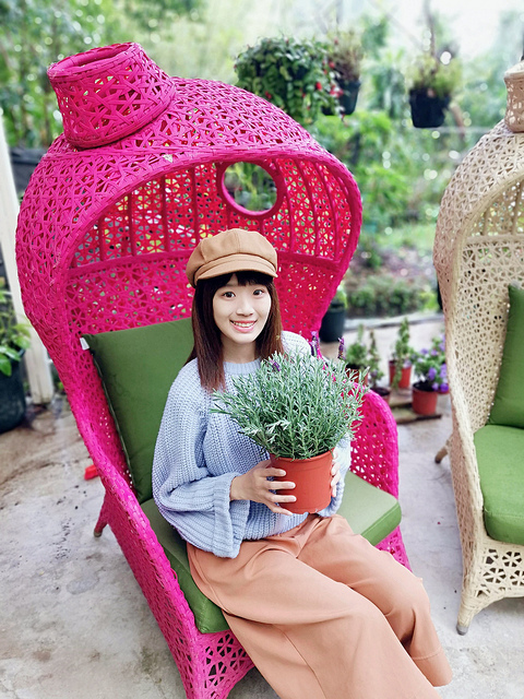 SelfieCity_20190224225049_org