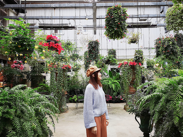 SelfieCity_20190224114813_org