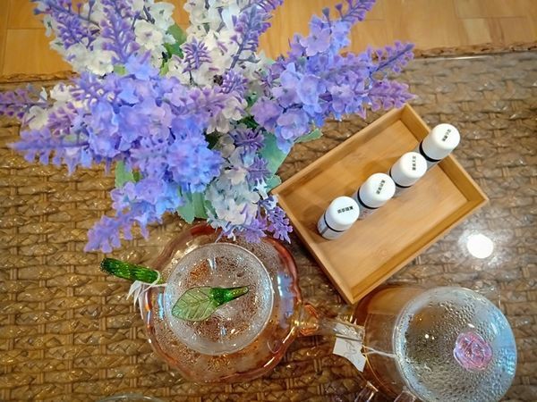 52531023_317589412227045_253596232323170304_n